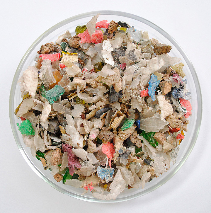 ТБО.jpg ТБО.jpg